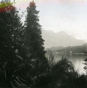 Italy Lake Como San Giovanni from Villa Carlotta Old Stereoview Photo 1900