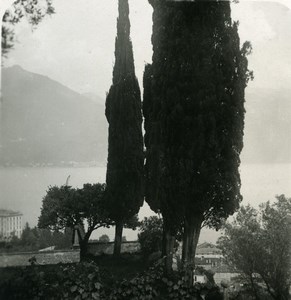 Italy Lake Como Menaggio Old Stereoview Photo 1900