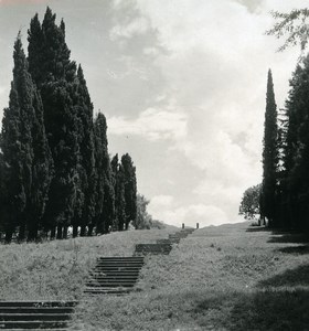 Italy Lake Como Bellagio Cypress San Giovanni Old Photo Stereoview Wehrli 1900