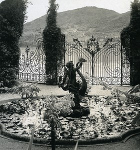 Italy Lake Como Cadenabbia Villa Carlotta Garden Photo Stereoview Wehrli 1900