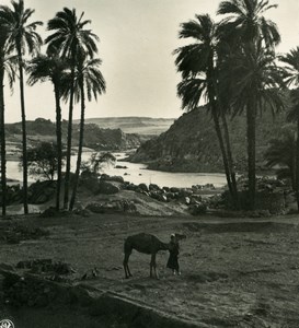Egypt Nile River Landscape picturesque scene Old NPG Stereoview Photo 1900
