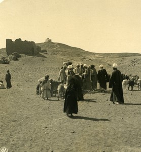 Egypt Aswan Bisharin Bedouins Sheep Market Old NPG Stereoview Photo 1900