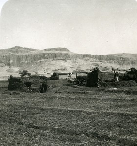 Egypt Fields Artesian Wells ? Old NPG Stereoview Photo 1906