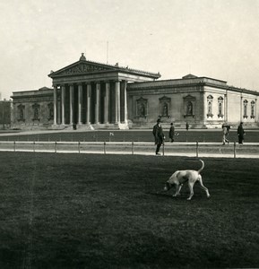 Germany Munich Glyptothek München Dog Old Photo Stereoview NPG 1900