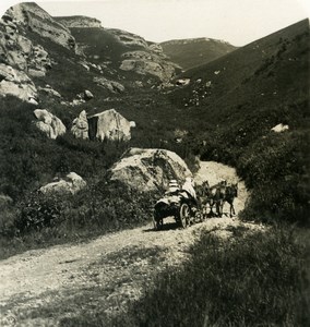 Caucase Transcaucasie Russie Route de Narzan Nazran Назрань Ancienne Photo Stereo NPG 1906