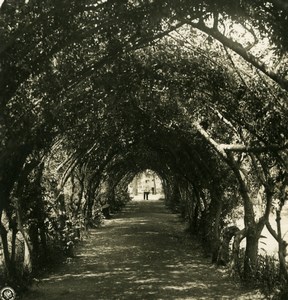 Caucasus Russia Vladikavkaz public garden Terek Old Photo Stereoview NPG 1906