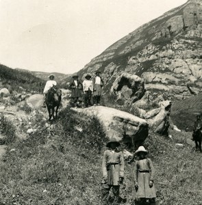 Caucase Transcaucasie Piatigorsk Montée de l'Urlesz Пятигорск Ancienne Photo Stereo NPG 1906