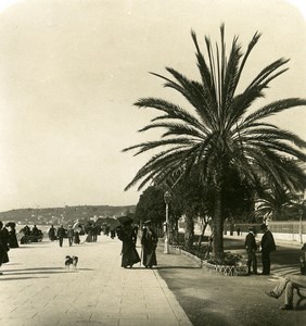 France Nice Promenade des Anglais Old Stereo Photo NPG 1905