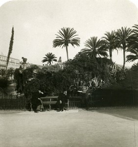 France Nice Men on Bench Terrace of New Gardens Old Stereo Photo NPG 1905