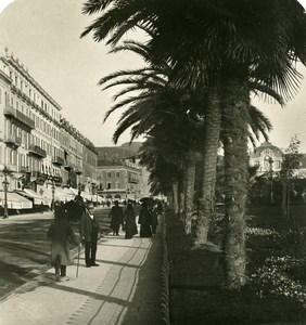 France Nice Avenue Massena & Gardens Old Stereo Photo NPG 1905