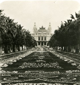 France Monte Carlo Avenue des Palmiers & Casino Old Stereo Photo NPG 1905